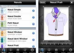 noeuds-cravate-iphone.jpg, fév. 2010 noeuds-cravate-iphone.jpg