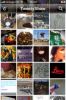 apps-ipad-iphone-gratuites-3.jpg