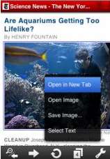 safari-iphone.jpg, mai 2010 safari-iphone.jpg