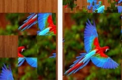 free iPhone app Bird Jigsaw