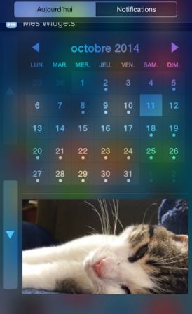 widgets-fr-2.jpg, 2011 widgets-fr-2.jpg