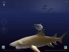 free iPhone app Shark Eaters