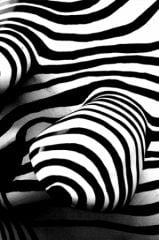Textures-118.jpg, avr 2009 Textures-118.jpg