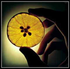 Orange news rumeurs, juil 2008 Orange news rumeurs