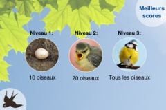 CHALLENGE1.PNG, juin 2009