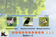 CHALLENGE 2, juin 2009