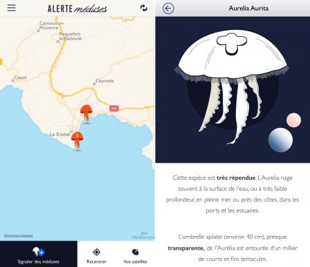 alertes-meduses-app-ios-vacances-3.jpg