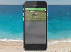 app-vacances-memotrips-carnet-voyage-social-iphone-1.jpg