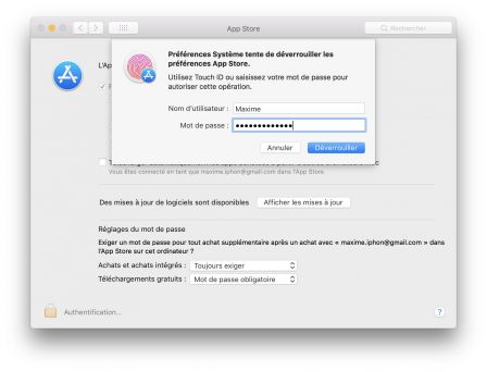 faille-preferences-app-store-mac.jpg