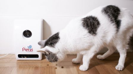 Petzi-Treat-Cam-002.jpg, 2011 Petzi-Treat-Cam-002.jpg