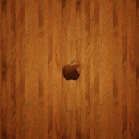 ipad1.jpg