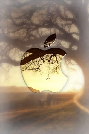 iphone3.jpg