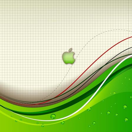 iphone7.jpg