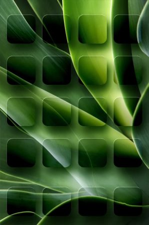 iphone6.jpg