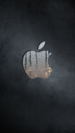 iphone24.jpg