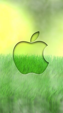 iphone15.jpg
