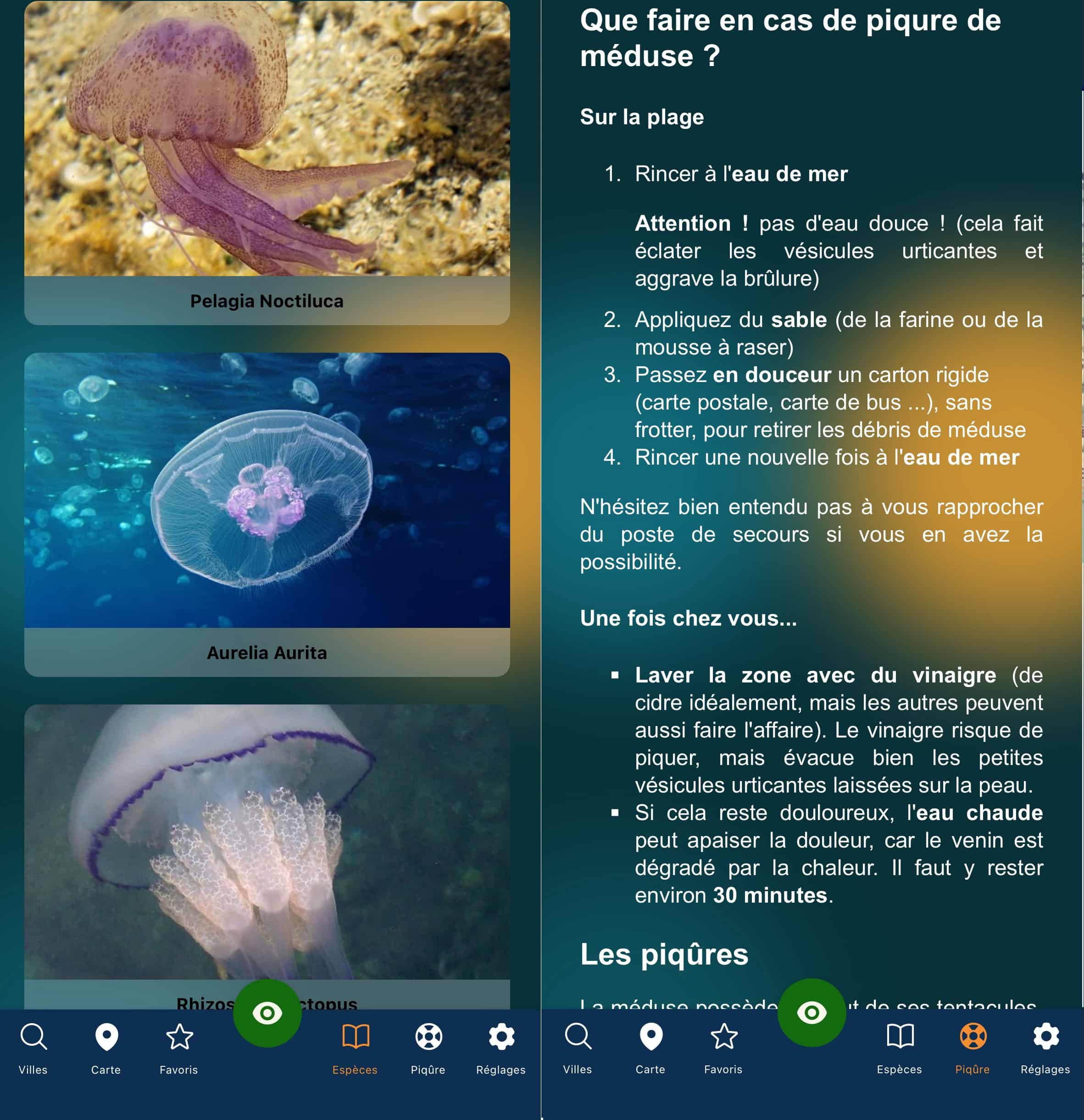 Appe Meduseo méduses plages