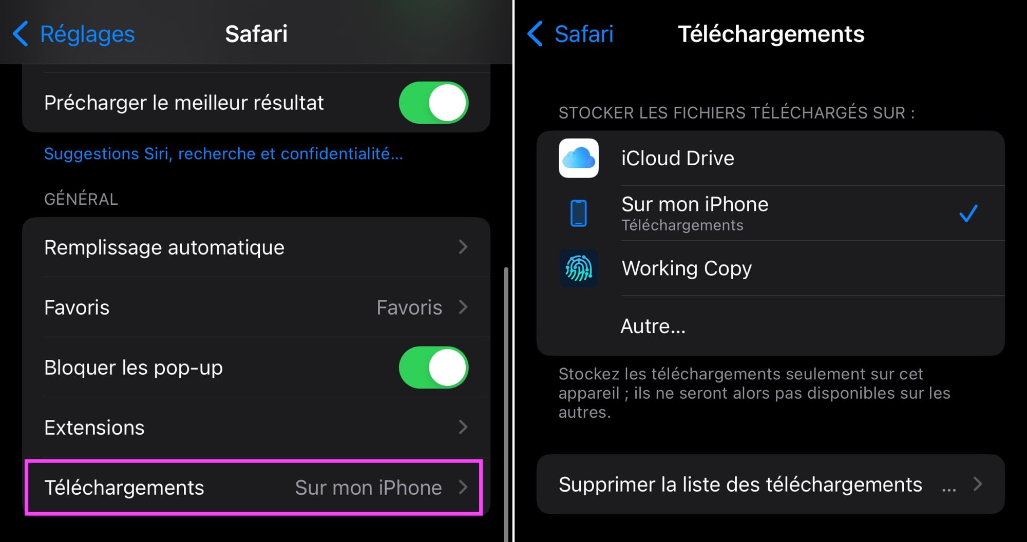Téléchargement Safari