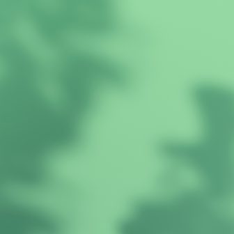 Fond écran vert clair iOS 13 app Maison HomeKit