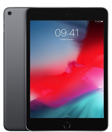 iPad 10,2 pouces Gris sidéral