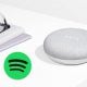 Google Home Mini