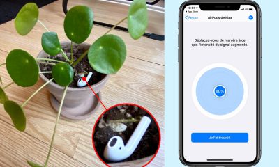 Wunderfind app iPhone