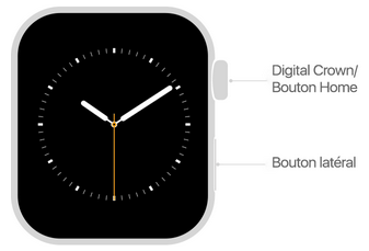Digital Crown Apple Watch
