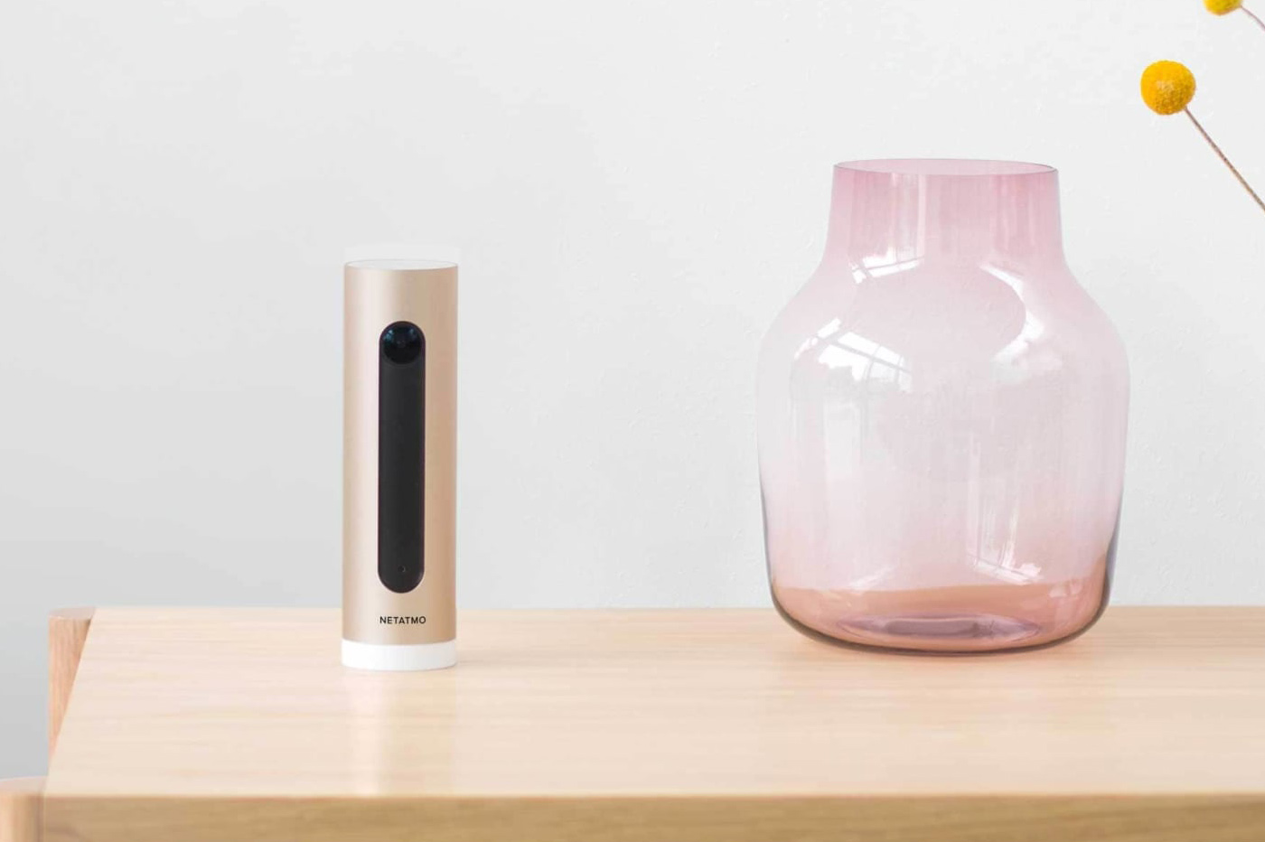 Netatmo Welcome