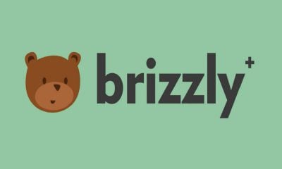 Service Twitter Brizzly