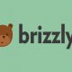 Service Twitter Brizzly