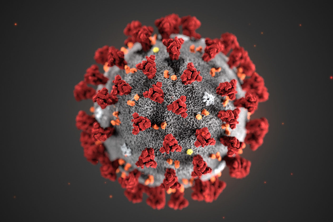 Coronavirus