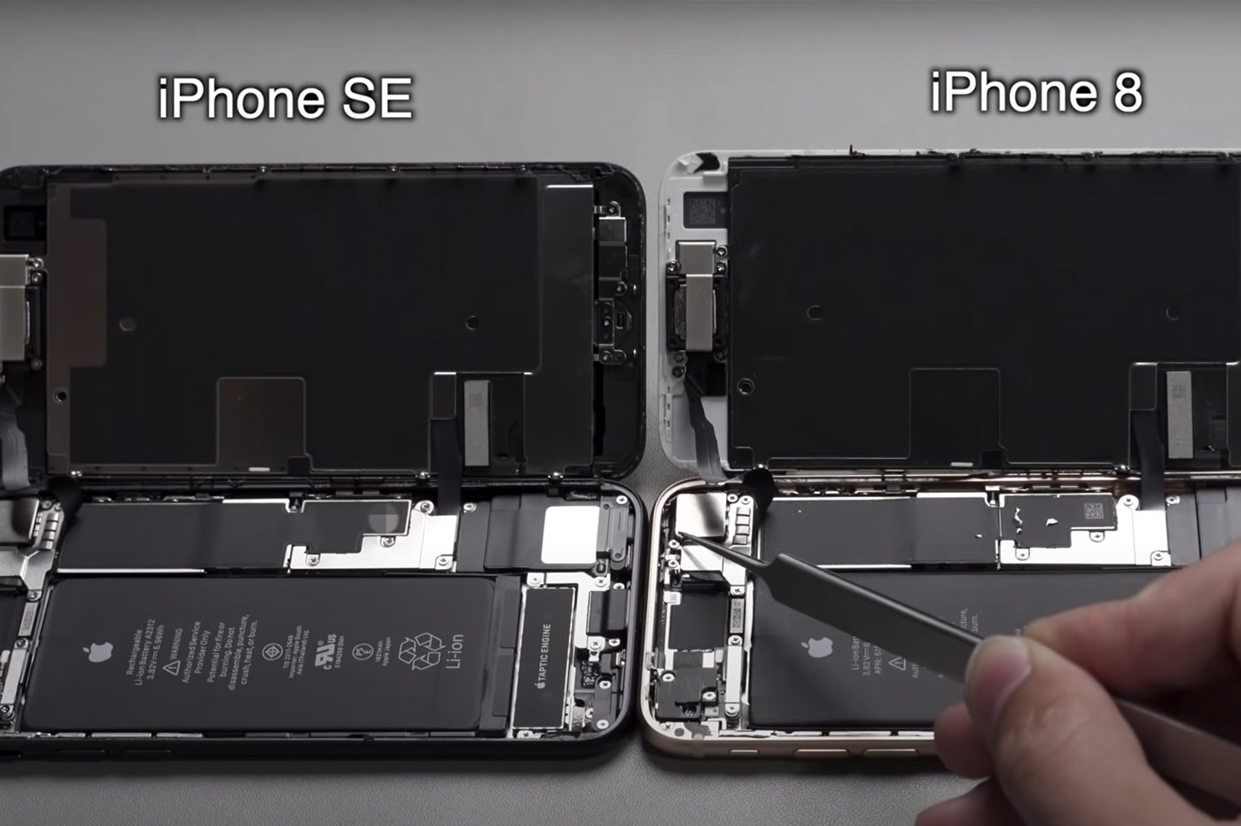 iPhone SE vs iPhone 8