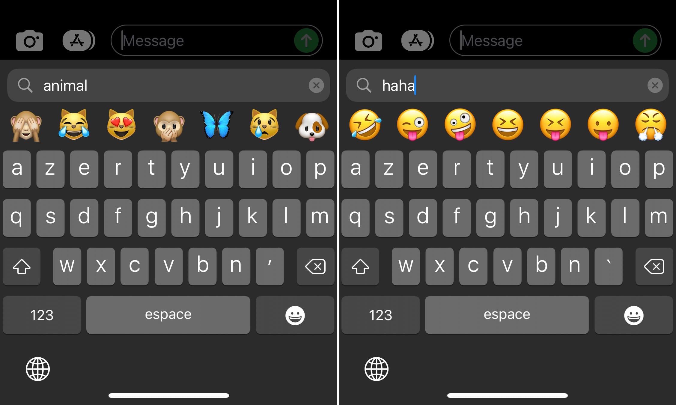 iOS screen showing emoji search examples