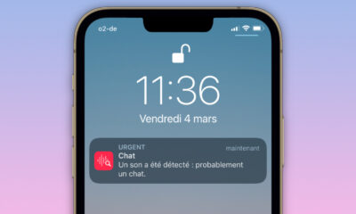 Écran iPhone avec notification de reconnaissance d'un son de chat