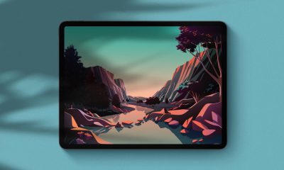 Fonds d'écran iOS 14.2 sur iPad