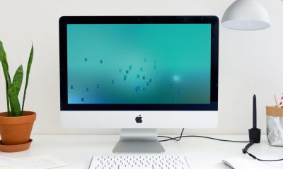 Fond d'écran macOS 9