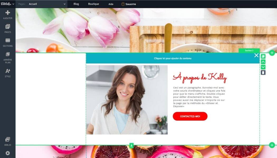 Création de blog WebSelf