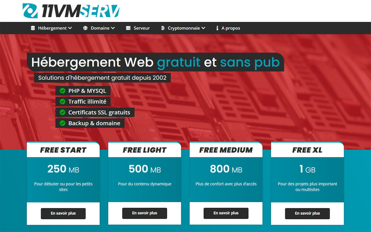 Hébergeur web gratuit 11VMserv