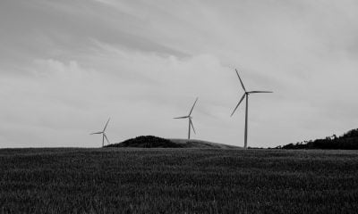 paysage de collines et éoliennes