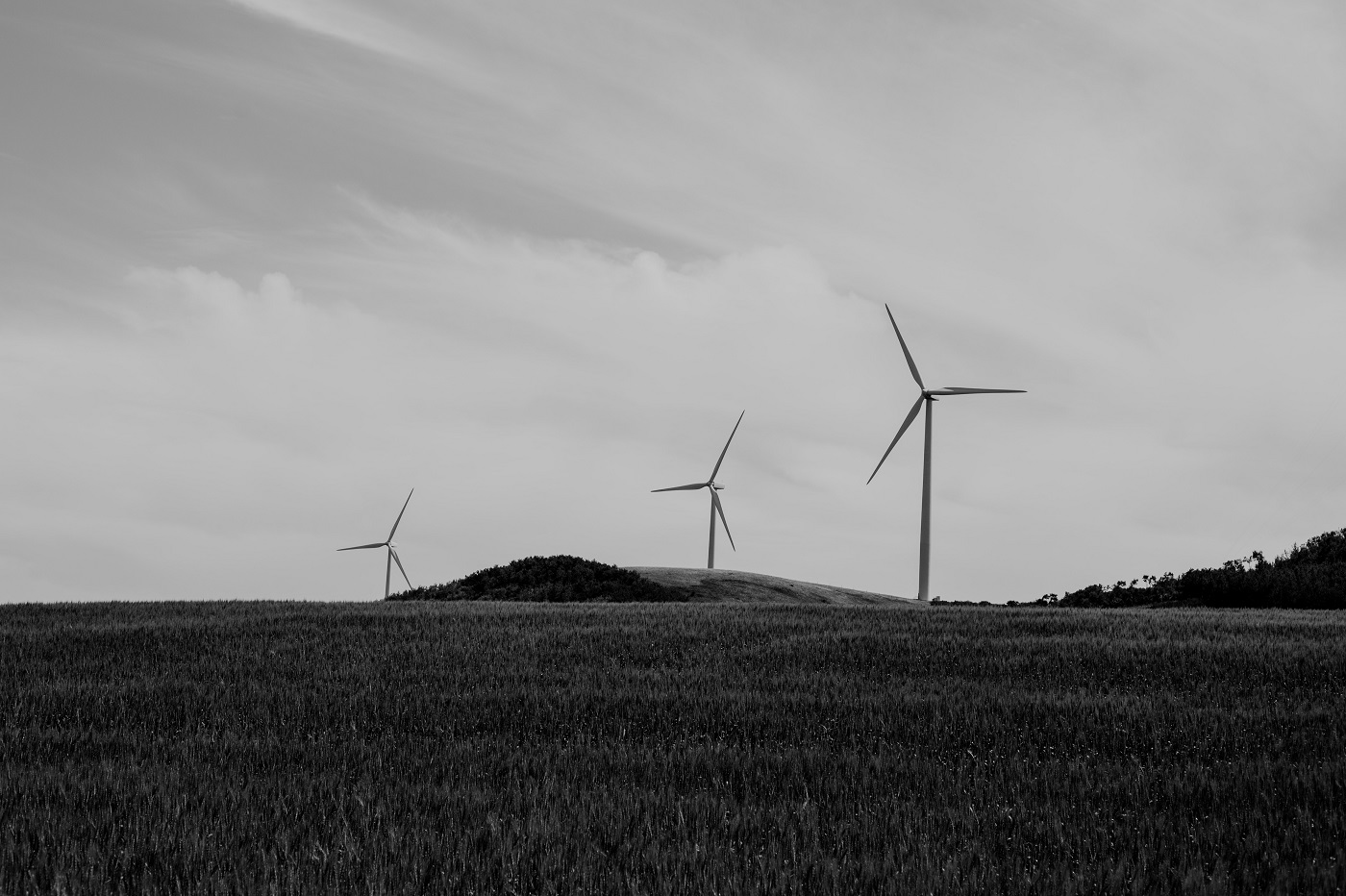 paysage de collines et éoliennes