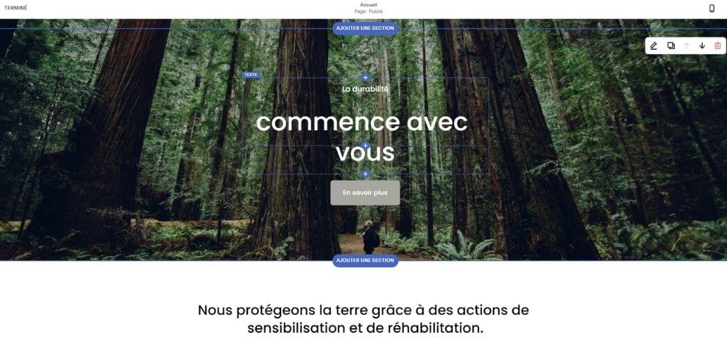 Edition de contenu Squarespace