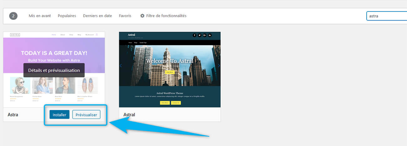 Installation prévisualisation thème WordPress
