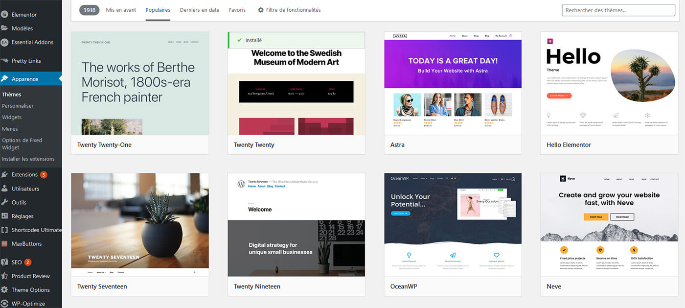 Installation thème WordPress