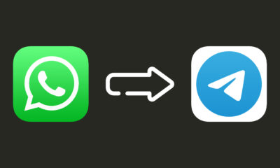 Migrer discussions WhatsApp vers Telegram