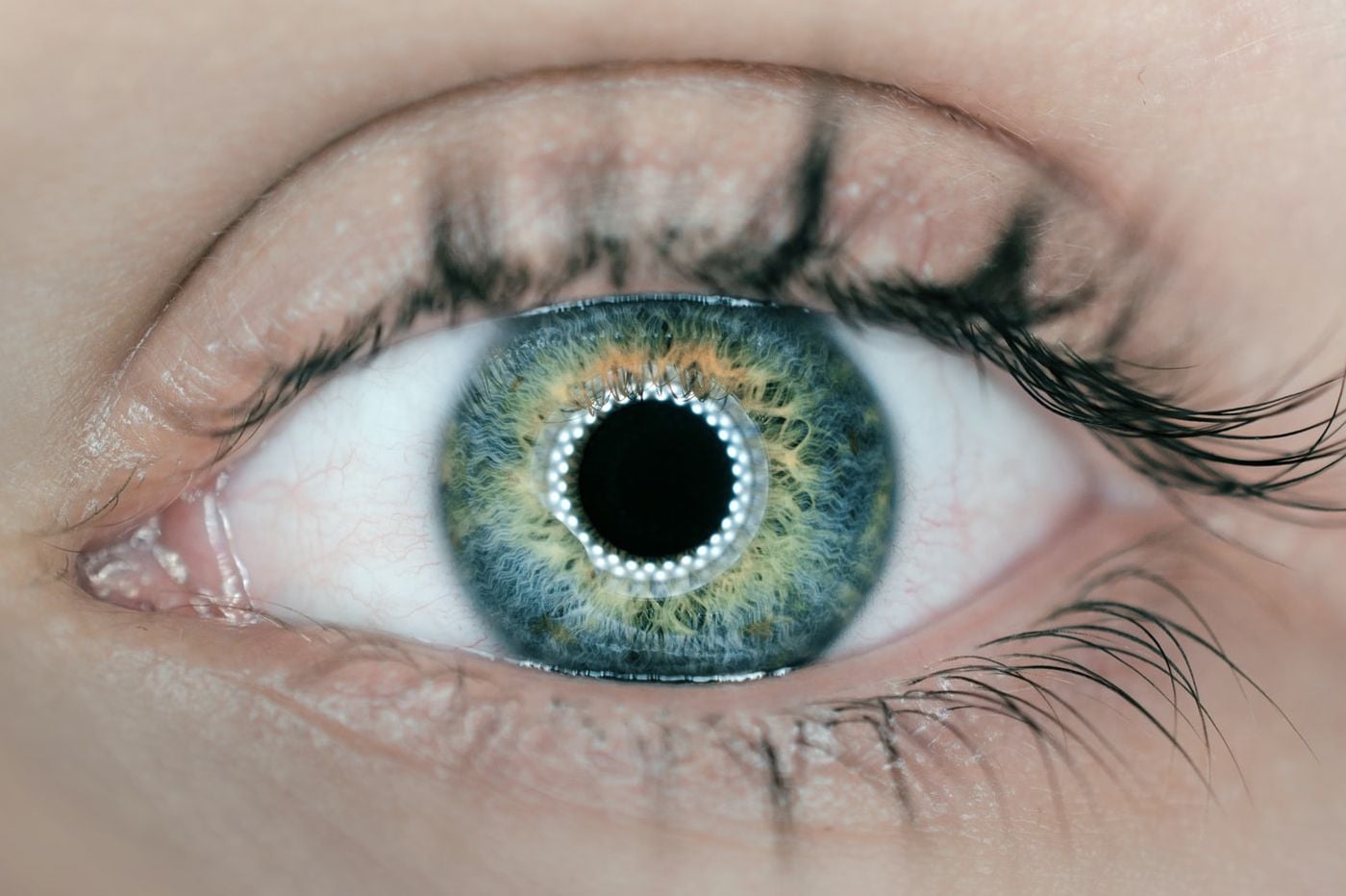 Oeil lentille