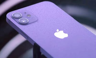iPhone 12 mauve Spring Loaded