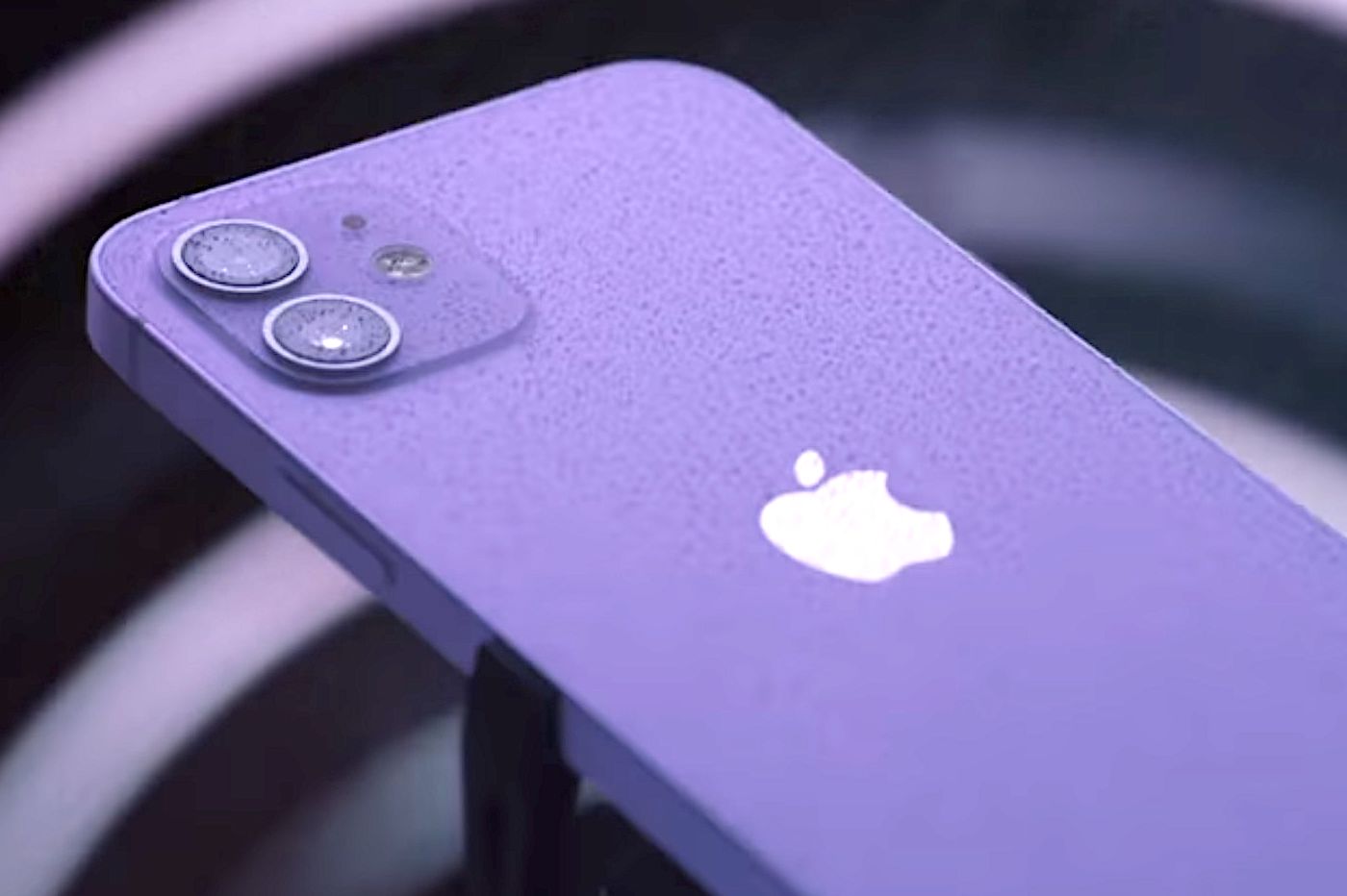 iPhone 12 mauve Spring Loaded