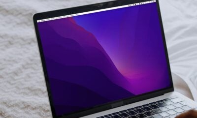 Fond d'écran Monterey