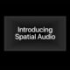 Introduction Spatial Audio