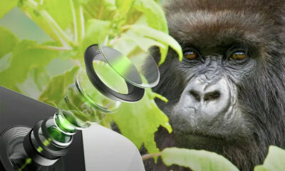 Gorilla Glass DX/DX+